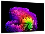 LG Electronics OLED65G67LW 4K OLED evo AI OLED-TV 164 cm 65 Zoll EEK E (A - G) Schwarz – Bild 2